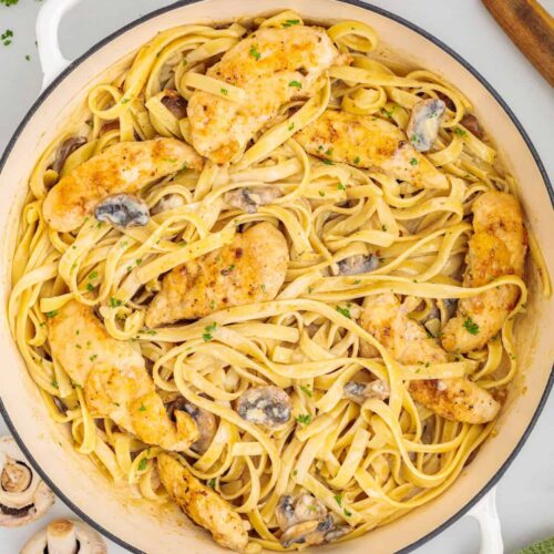 Creamy chicken Marsala fettuccine with golden chicken, mushrooms, Parmesan cheese, and fresh parsley in a rich Marsala cream sauce.